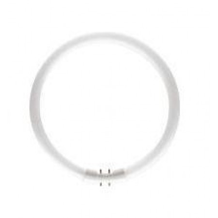 Tub  fluorescent  MASTER TL5  Circular  22W/830   Philips